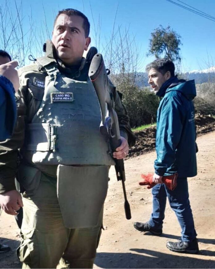 Carabineros y SAG detienen a cazador furtivo de especie protegida