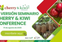 Cherry & Kiwi Conference 2025: Curicó se consolida como punto de encuentro para la cereza y el kiwi