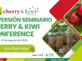 Cherry & Kiwi Conference 2025: Curicó se consolida como punto de encuentro para la cereza y el kiwi