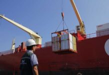 Chile avanza hacia la certificación fitosanitaria 100 % digital con China