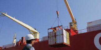 Chile avanza hacia la certificación fitosanitaria 100 % digital con China