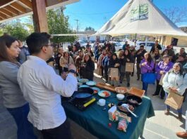 Ciencia y cocina con identidad se unieron en la Región de O’Higgins