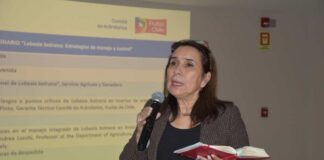 Comité de Arándanos y SAG refuerzan medidas para controlar Lobesia botrana ante aumento de capturas 