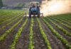 Contaminantes invisibles: hacia un consumo informado y seguro