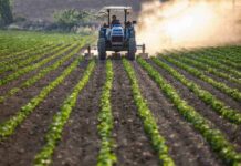 Contaminantes invisibles: hacia un consumo informado y seguro