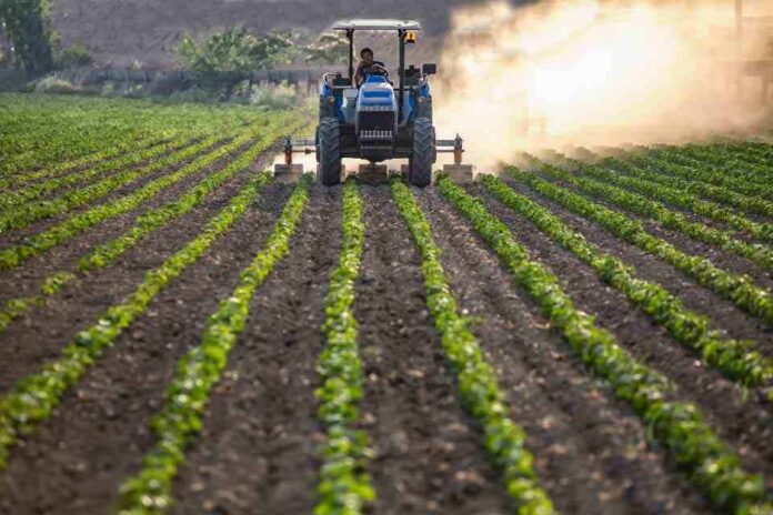 Contaminantes invisibles: hacia un consumo informado y seguro