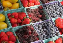 Copefrut avanza hacia el futuro con SAP S/4HANA y reafirma su compromiso con la sostenibilidad