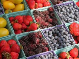 Copefrut avanza hacia el futuro con SAP S/4HANA y reafirma su compromiso con la sostenibilidad