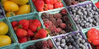 Copefrut avanza hacia el futuro con SAP S/4HANA y reafirma su compromiso con la sostenibilidad