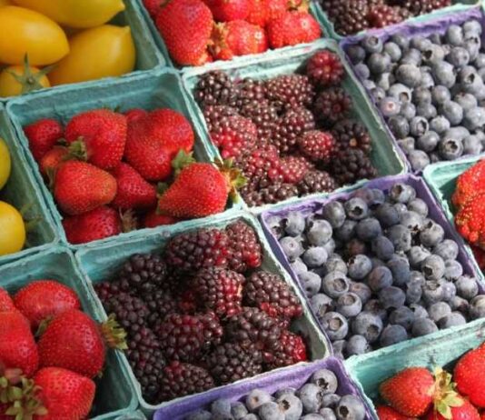 Copefrut avanza hacia el futuro con SAP S/4HANA y reafirma su compromiso con la sostenibilidad