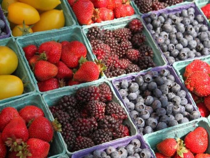 Copefrut avanza hacia el futuro con SAP S/4HANA y reafirma su compromiso con la sostenibilidad