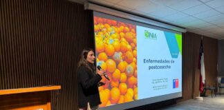 Dispositivo portátil para detección de plaguicidas: INIA La Platina cierra proyecto Fondef con seminario técnico