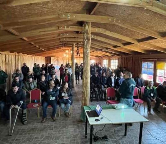 Dueños/as de equinos participan en conversatorio sobre Anemia Infecciosa Equina