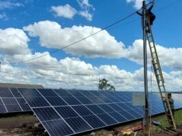 Energía solar para la agroindustria: de costo a ventaja competitiva