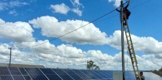 Energía solar para la agroindustria: de costo a ventaja competitiva