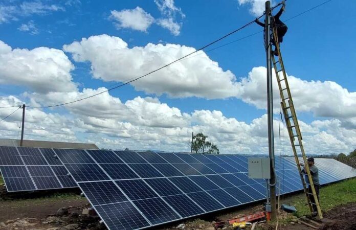 Energía solar para la agroindustria: de costo a ventaja competitiva