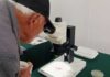 Expertos nacionales e internacionales analizaron amenazas virales en la hortofruticultura