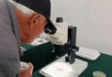 Expertos nacionales e internacionales analizaron amenazas virales en la hortofruticultura