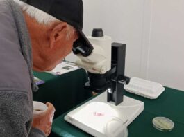 Expertos nacionales e internacionales analizaron amenazas virales en la hortofruticultura