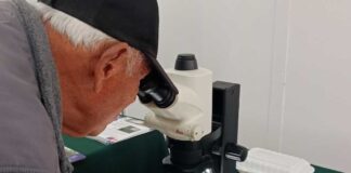 Expertos nacionales e internacionales analizaron amenazas virales en la hortofruticultura