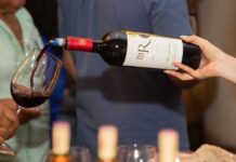 Exportación de vinos chilenos 2025 al alza y Brasil toma la delantera