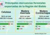 Exportaciones forestales de la Región del Biobío disminuyeron 6,6% en el trimestre abril-junio de 2025