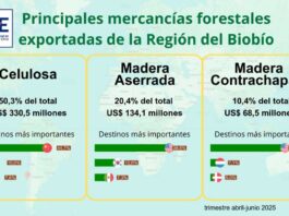 Exportaciones forestales de la Región del Biobío disminuyeron 6,6% en el trimestre abril-junio de 2025