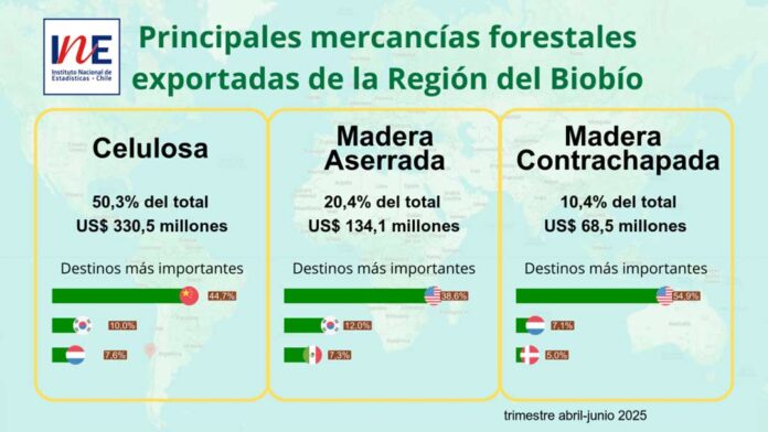 Exportaciones forestales de la Región del Biobío disminuyeron 6,6% en el trimestre abril-junio de 2025