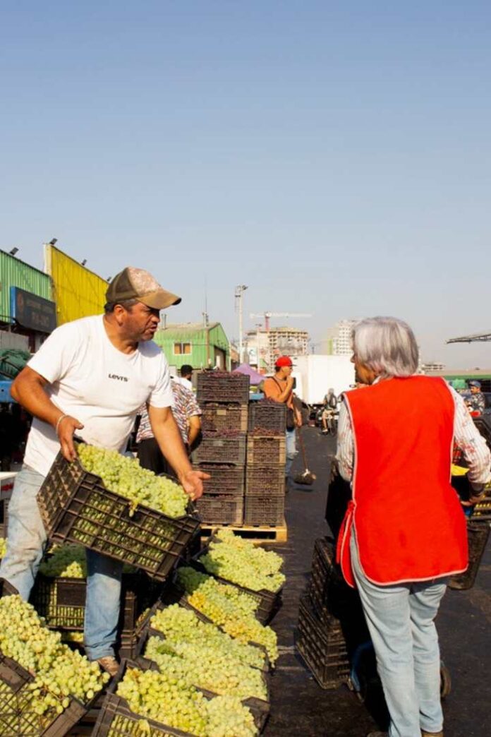 FAO aprueba la creación del Día Internacional de las Frutas y Verduras propuesto por Chile