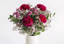 Florachic es el mejor envío de flores desde Chile a España con frescura y calidad garantizada