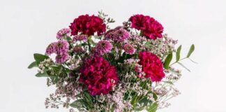 Florachic es el mejor envío de flores desde Chile a España con frescura y calidad garantizada