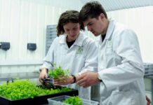 Fomento Los Ríos impulsa la innovación sostenible con tres convocatorias abiertas bajo el programa Sostenibles x Naturaleza