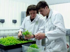 Fomento Los Ríos impulsa la innovación sostenible con tres convocatorias abiertas bajo el programa Sostenibles x Naturaleza