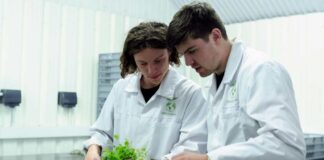 Fomento Los Ríos impulsa la innovación sostenible con tres convocatorias abiertas bajo el programa Sostenibles x Naturaleza