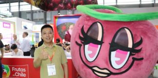 Frutas de Chile prepara la temporada 2025-26 en la China International Fruit Expo