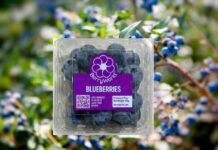 Grupo Agroberries lanza BerryWorld Asia y refuerza su apuesta por el mercado asiático
