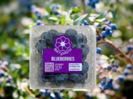 Grupo Agroberries lanza BerryWorld Asia y refuerza su apuesta por el mercado asiático