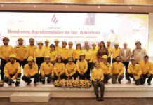 IICA lanza iniciativa hemisférica para enfrentar los incendios forestales en las Américas