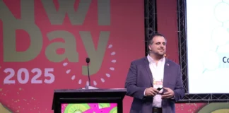 La hora de la calidad: El desafío que une a productores y exportadores de kiwi de Chile