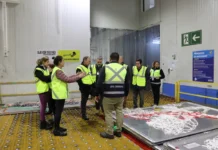 Frutas de Chile se reúne con aerolíneas y empresas de servicios logísticos de carga aérea