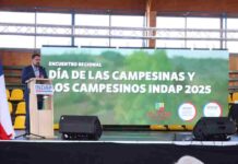 INDAP Biobío celebró Día de las Campesinas y Campesinos dando a conocer inversión pública