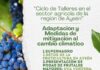 INDAP, la Municipalidad de Río Ibáñez y el IICA organizan ciclo de talleres sobre agricultura y cambio climático en Aysén