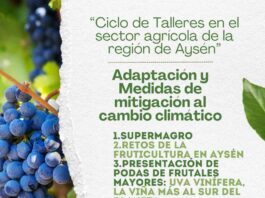 INDAP, la Municipalidad de Río Ibáñez y el IICA organizan ciclo de talleres sobre agricultura y cambio climático en Aysén