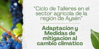 INDAP, la Municipalidad de Río Ibáñez y el IICA organizan ciclo de talleres sobre agricultura y cambio climático en Aysén