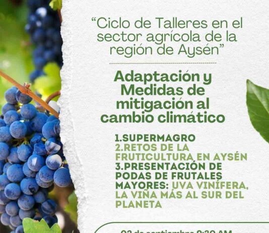 INDAP, la Municipalidad de Río Ibáñez y el IICA organizan ciclo de talleres sobre agricultura y cambio climático en Aysén