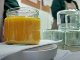 INIA La Platina mejora procesos productivos de alimentos, destaca el caso de éxito del ghee con propiedades antioxidantes y antiinflamatorias INIA La Platina mejora procesos productivos de alimentos, destaca el caso de éxito del ghee con propiedades antioxidantes y antiinflamatorias