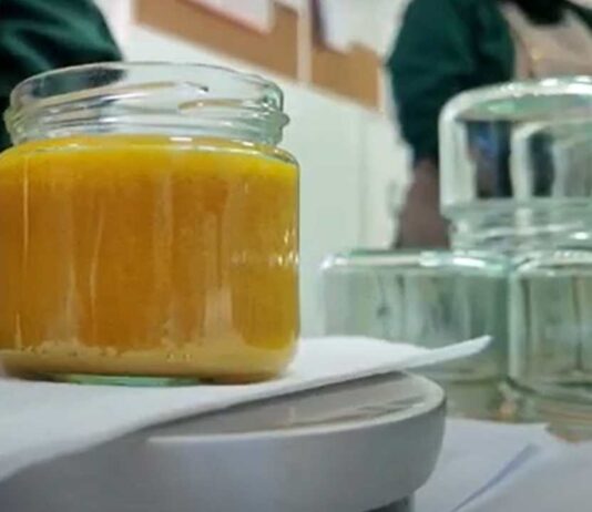 INIA La Platina mejora procesos productivos de alimentos, destaca el caso de éxito del ghee con propiedades antioxidantes y antiinflamatorias