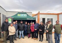 INIA inauguró Sala de Proceso de Papa en Magallanes para impulsar valor agregado y sostenibilidad en la producción