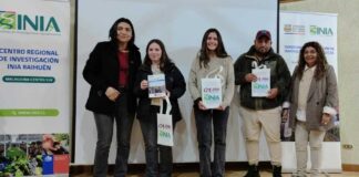 INIA presenta estudio sobre tecnologías en berries del Maule