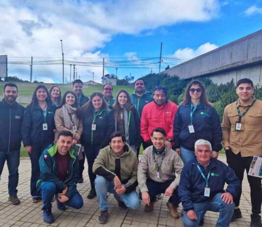 INIA y SAG capacitan a productores en manejo del nematodo foliar de la frutilla ante cierre de emergencia fitosanitaria
